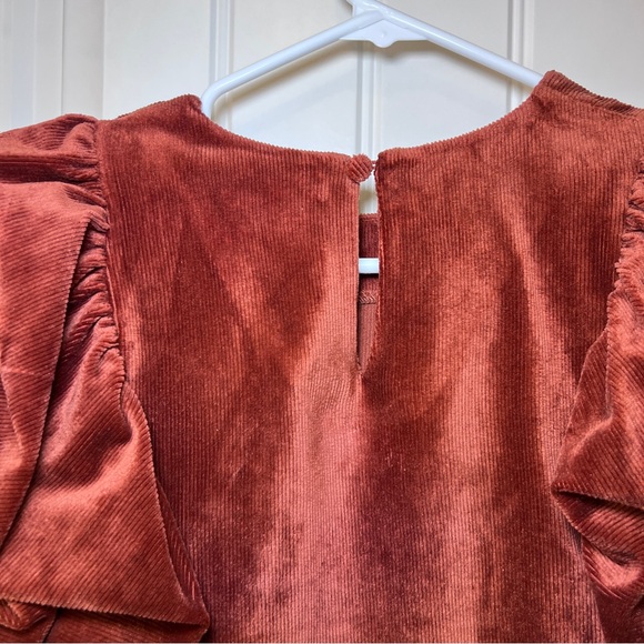 THML Velvet Blouse with Dramatic Ruffle Sleeves - Deep Rust Women’s  XS - Picture 4 of 11